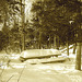 Pique-nique blanc dans le froid  / Cold and white picnic time - 6 février 2009 / Sepia.