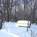 Pique-nique blanc dans le froid  / Cold and white picnic time - 06-02-2009 .