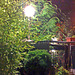 31072008332 edited. La terraza por la noche.