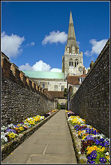 Cathedral Gardens Chichester