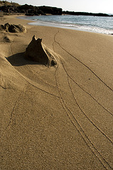 Traces in the sand......