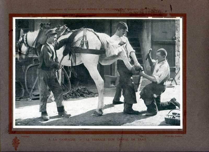 ile ferrage d'un cheval de trait à la campagne 1907