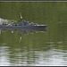 Lakeside Eastleigh - model warship