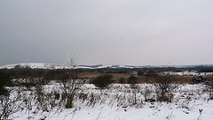 Filsham In Winter