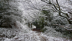 Hastings Country Park Path 2