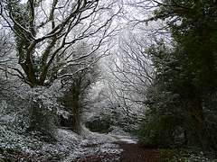 Hastings Country Park Path 1