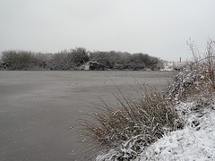 Hastings Country Park On Frozen Pond 3