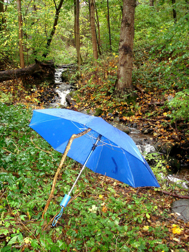 Stream and blue umbrella / Ruisseau et parapluie bleu
