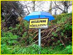 Bastad en Suède - Sexual intercourses forbidden ??  ....Débats amoureux interdits ?? .....Traduction SVP. 21 octobre 2008