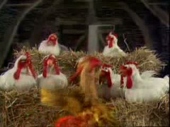 The Muppet Chickens sing Baby Face