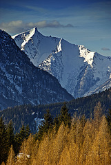 Tamischbachturm - 2035 m