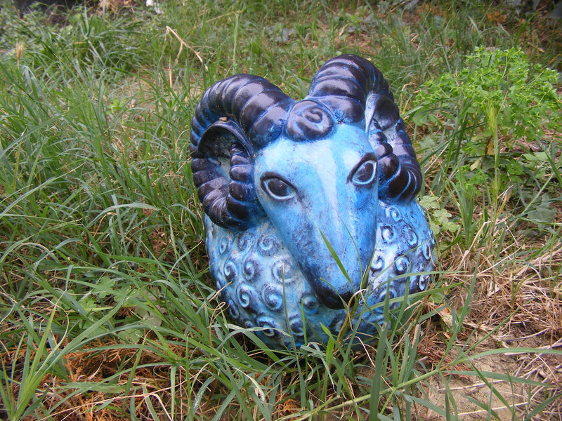 mouton bleu
