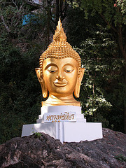 Head of Lord Buddha