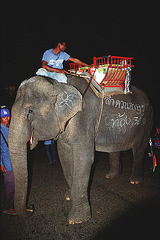 Mahout and his elephant called Lamduan