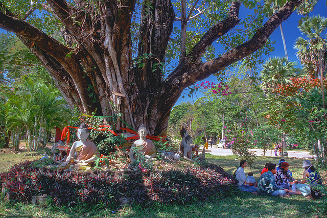 Picnic underneath the holy Bodhi Tree