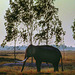 Working elephant rests near the paddy field