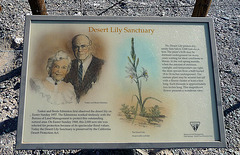 Desert Lily Sanctuary (3596)