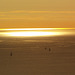 coucher de soleil dans la baie de Marseille