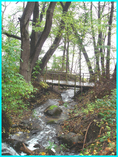 Ruisseau et pont mignon - Little stream and pretty bridge