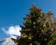 Swiss Christmas Tree