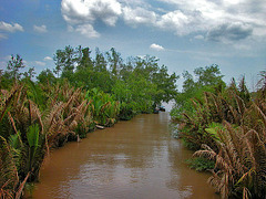 One of the hundreds channels of the Mekong Delta