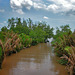 One of the hundreds channels of the Mekong Delta