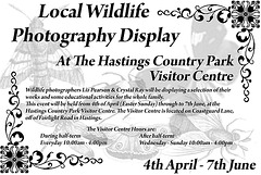 Wildlife Photography Exhibit