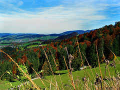 Herbst im Bregenzerwald