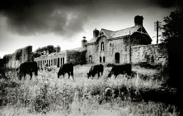 Abandoned Station, Belturbet, Co Cavan (1996)