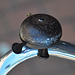 Old Batavus bike – AFA bell with a wasp