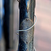 Old Batavus bike – frame number 10191