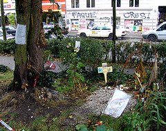 Neues vom Paulinenplatz - Grab