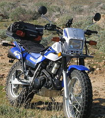 Yamaha TW-200 2007 (B).jpg