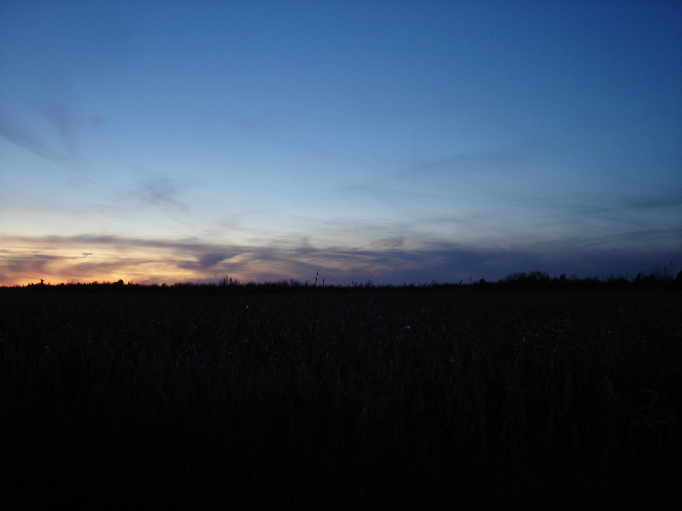 Coucher de soleil / Sunset - Venise en Québec, QC- CANADA-  2 Novembre 2008.