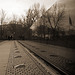 Vietnam Memorial & Lincoln Memorial
