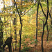 2008-10-19 27 Wandertruppe, Weissig - Heidenau