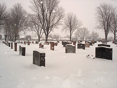 Daoust in a cool place  - Daoust bien au frais  /  Hometown cemetery - Cimetière de ma ville.  Janvier 2009.