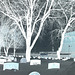 En train de reposer sous la neige  /  Eternal cold rest -  Dans ma ville  /  Hometown -  Negative photofilter artwork /  Effet négatif -19-01-2009