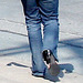 Jeune beauté asiatique en talons hauts / Short young Asian in jeans and high heels- Halifax, NS. Canada - Juin 2008