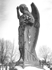 Ange de ma ville en noir et blanc  -  Hometown's angels in B & W .  En noir et blanc.  25 Janvier 2009.