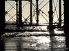CH Photowalk 10-12-09   Under The Pier