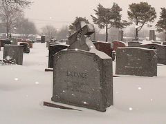 Lachance d'éviter encore un hiver.... /   One more chance to avoid winter ..... -  Dans ma ville -  Hometown.  Janvier 2009