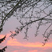 Abendrot 26.11.2008 - sunset