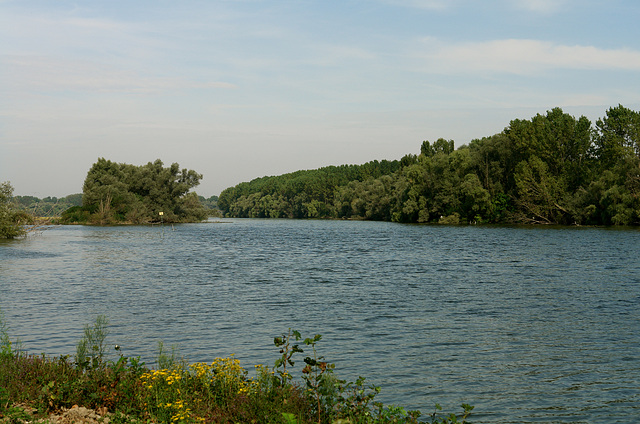 The Mincio river near Andes