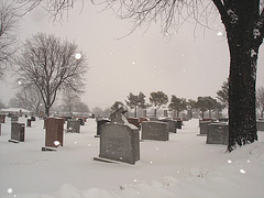 Lachance d'éviter encore un hiver....  /  Hometown cemetery  -  Cimetière de ma ville