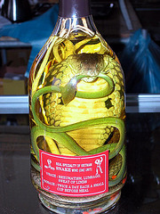 Rượu rắn, snake wine and its instruction