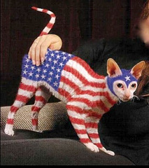 Le chat d'Obama ?