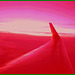 KLM- Vol / Flight  Amsterdam-Copenhague- En rouge ! All in red !19 octobre 2008
