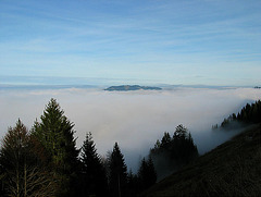 Nebelgrenze bei ca. 1100 m