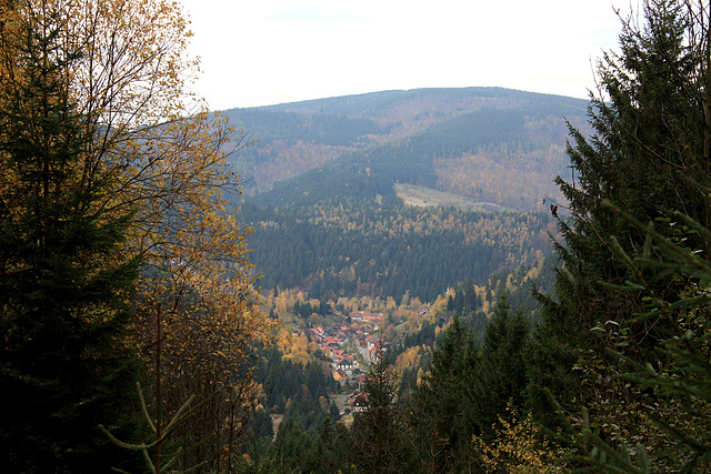 Blick auf Lautenthal im Harz